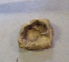 Rb-6 Decorative Pet And Reptile