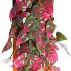 Rep422 Penn Plax Categories Reptology Climber Vine Reptile Terrarium 030172087516