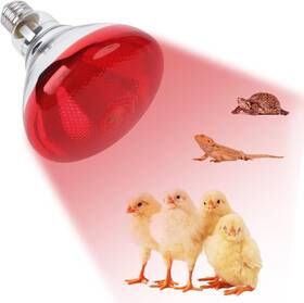 Repti Home 313098220213 250w Red Heat Lamp Bulbs For Chicken Infrared Flood Light Bulb Incand