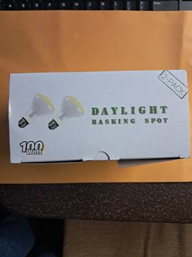 X003yk9bib Repti-king Reptiking 1 Box With 2 100 Watt Bulbs
