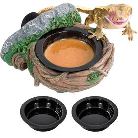 24-808-rv0901a Repti Zoo Magnetic Reptile Feeding Ledge Gecko Feeder Single Nature