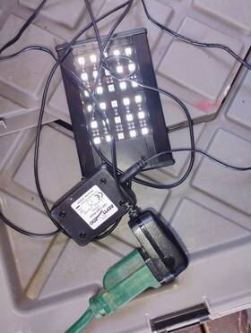 Led001 Repti Zoo Led Light Day Or Night Hood W Plug Only Model 2d