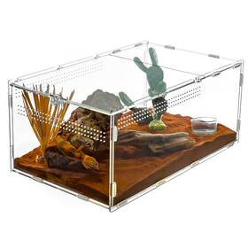 Pacr15 Repti Zoo Large Tarantula Enclosure Spider 14 X 8 6 2 In 1 Acrylic Abore