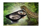 Reptibowf Frylr Bowls Abs Suction Cup Mini Worm Dish Reptile