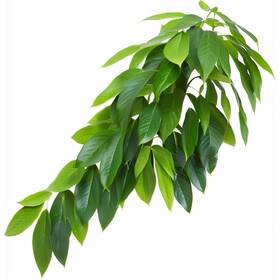 Reptiking 974318892913 Reptile Terrarium Hanging Plant Fake Plants For Enclosure Ideal