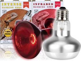 Kt0175 Reptiking Reptile Heat Lamp 2 Pack 75w Intense And Infrared Basking Bulbs Light