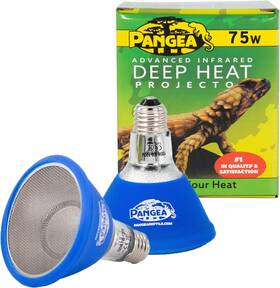 Reptile 445021978939 Deep Heat Projector 2-pack For Reptiles With Carbon Fiber Filament Warming