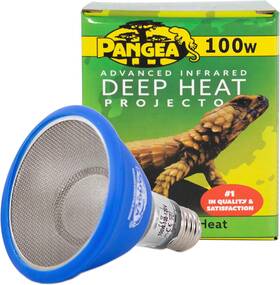 Reptile 850005832591 Deep Heat Projector For Reptiles With Carbon Fiber Filament Warming Infrar