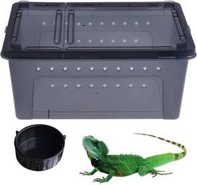 Wx0037 Reptile Feeding Box Snake Portable Transparent Plastic Mini Pet Houses Breeding