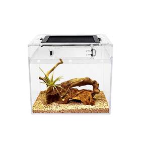 Reptile Growth 739515258018 Mini Terrarium 8 Inch X Tank With Full View Visually Appea