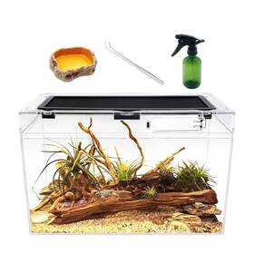 Growth-001 Reptile Growth Terrarium 16 Inch X 8 10 Tank With Full View Visually Appeal