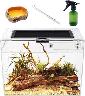 Rg-p02 Reptile Growth Mini Terrarium 12 Inch X7 X 9 Tank With Full View Visually Appealing