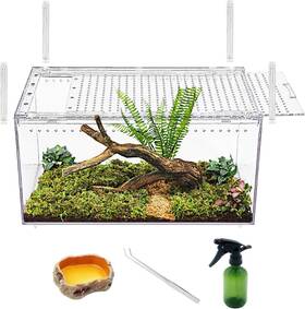 Wsl3-p04-us Reptile Growth No Assembly Tank 16 Inch 10 8 Transparent