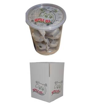 Reptile Isle 638170005831 100 Large Dubia Roaches Very High Protein Food For Feeding