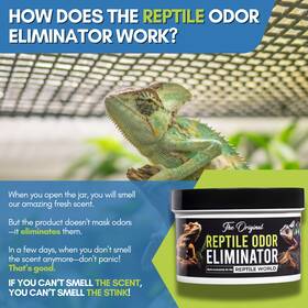 Rep106 Reptile Odor Eliminator - Fresh Scent