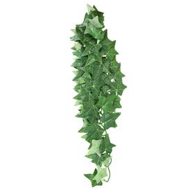 Reptile Treasures 628742023233 Ivy Plant 24 Inch