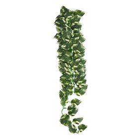 Reptile Treasures 628742023264 Manjula Plant 24 Inch