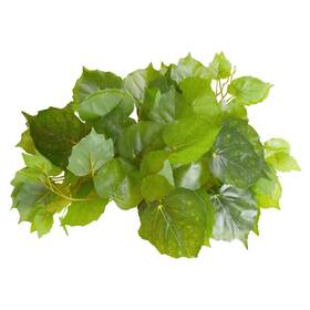 Reptile Treasures 628742023288 Pothos Plant 60 Inch