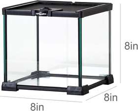 Reptizoo 970211805456 Terrarium Tank Mini Glass Full View Amphibian Habitat 8 X Reptizoo 970211805456 Terrarium Tank Mini Glass Full View Amphibian Habitat 8 X