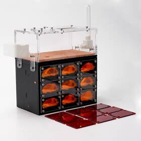 Tkc-1 Rimsunta Ant Farm For Live Ants With Inner Lights - Large Viewing Area Natural Learn