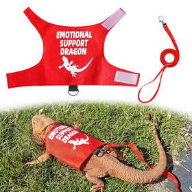Rm Romansk 797085415446 Bearded Dragon Harness And Leash Set - Escape Proof Adjustable Lizard