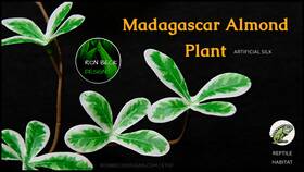 Srp631 Ron Beck Designs Artificial Madagascar Almond Plant Reptile Tarantula Snake Spider Enclosure