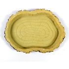 Rp085938parg55007 Oulii Pets Feeding Plate Resin Reptile Bowl Food 191388313223