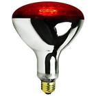 97612332506 Rs250 Zoo Med Nocturnal Infrared Incandescent Heat Lamp Watts