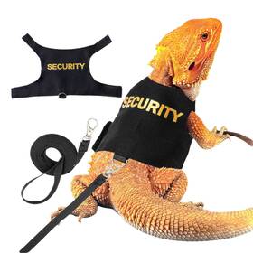 Ruileeccl 761164249802 Adjustable Lizard Leash And Bearded Dragon Accessories Harness Set -bearded D