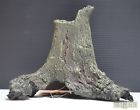 S-821 Starpet Terrarium-aquarium Ornament 8 4974212108211