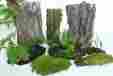 S2287 Green Thumb Air Plants 8 Item Fern Bark Star Moss Background Organic Terrarium Dart Frog Vivarium