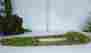 S3241 Green Thumb Air Plants 15 Moss Hardwood Brideg Organic Garden Terrarium Gecko Dart Frog Vivarium