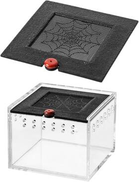 Saim 313107327360 Tarantula Terrarium Jumping Spider Enclosure Clear Feeding Box Smal