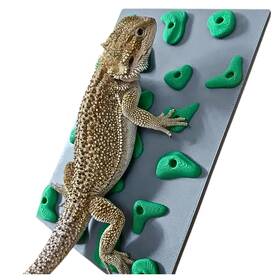 Sands3d 445023961922 Miniature Reptile Rock Climbing Wall Enclosure Enrichment For Bearded Dragons