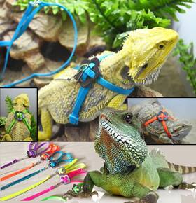 Sawyd 619408672179 Adjustable Reptile Lizard Harness Leash Turtle Pet Traction Belt Beard
