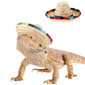 S547h Sezdeki 2 Pack Bearded Dragon Sombrero Hats - Lizard Cinco De Mayo Small
