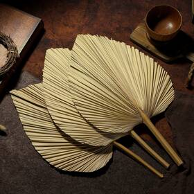 Sggvecsy 717686549470 Dried Palm Leaves 4 Pieces 16 Natural Spears L