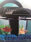 Sgr170410002 Imagitarium Betta Fish Dual Habitat Tank In Black Gal