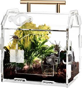Pcsyx-01 Shgyibrisk Jumping Spider Enclosure Acrylic Terrarium Tarantula With Clear