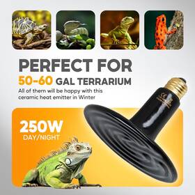Simple Deluxe 810000172443 Ipower 250w Ceramic Heat Emitter Reptile Lamp Bulb Chicken Heater Light F