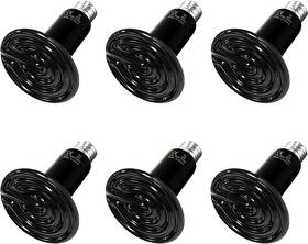 Ptcrhl150x6-b Simple Deluxe 150w Reptile Heat Lamp Bulb Ceramic Emitter