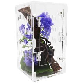 S-00104 Singfum Acrylic Jumping Spider Enclosure Kit Small Insect Habitat Mantis Terrarium