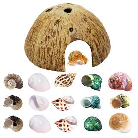 Sinkoo 639510841096 Hermit Crab Shell Growth Seashells 15 Pcs 7 Types Natural Coconut Shells Hu