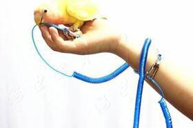 Sleeri 619956301941 Parrot Bird Pet Leash Kit Anti-bite Outdoor Flying Training Rope Random Color