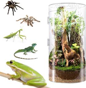Smartang 744110335378 Front Opening Terrarium Jumping Spider Enclosure 12 Inch 6 Tall Arboreal Tarantul