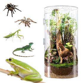 Smartang 762730049444 Front Opening Terrarium Jumping Spider Enclosure 12 Inch 6 Tall Arbor