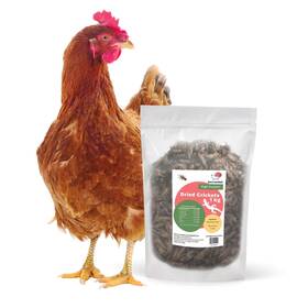 Snout And Shell 850040242904 High - Protein Dried Crickets For Reptiles Birds Small Pets Natural Ins