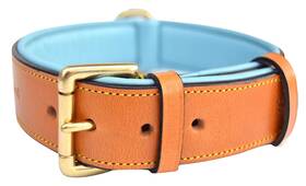 Soft Touch Collars 737080793156 Leather Padded Dog Collar Extra Large Tan And Teal Heavy Duty Brass Buckle