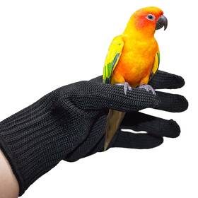 1600085151 Sonhomay Bird Training Anti-bite Gloves Hand Protection Parrot Chewing Working Safety