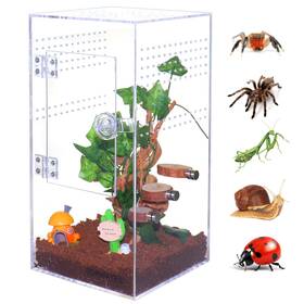 S669 Sorwatee S669/12 6x6x12 Inch Acrylic Jumping Spider Enclosure Arboreal Tarantula Terrarium
